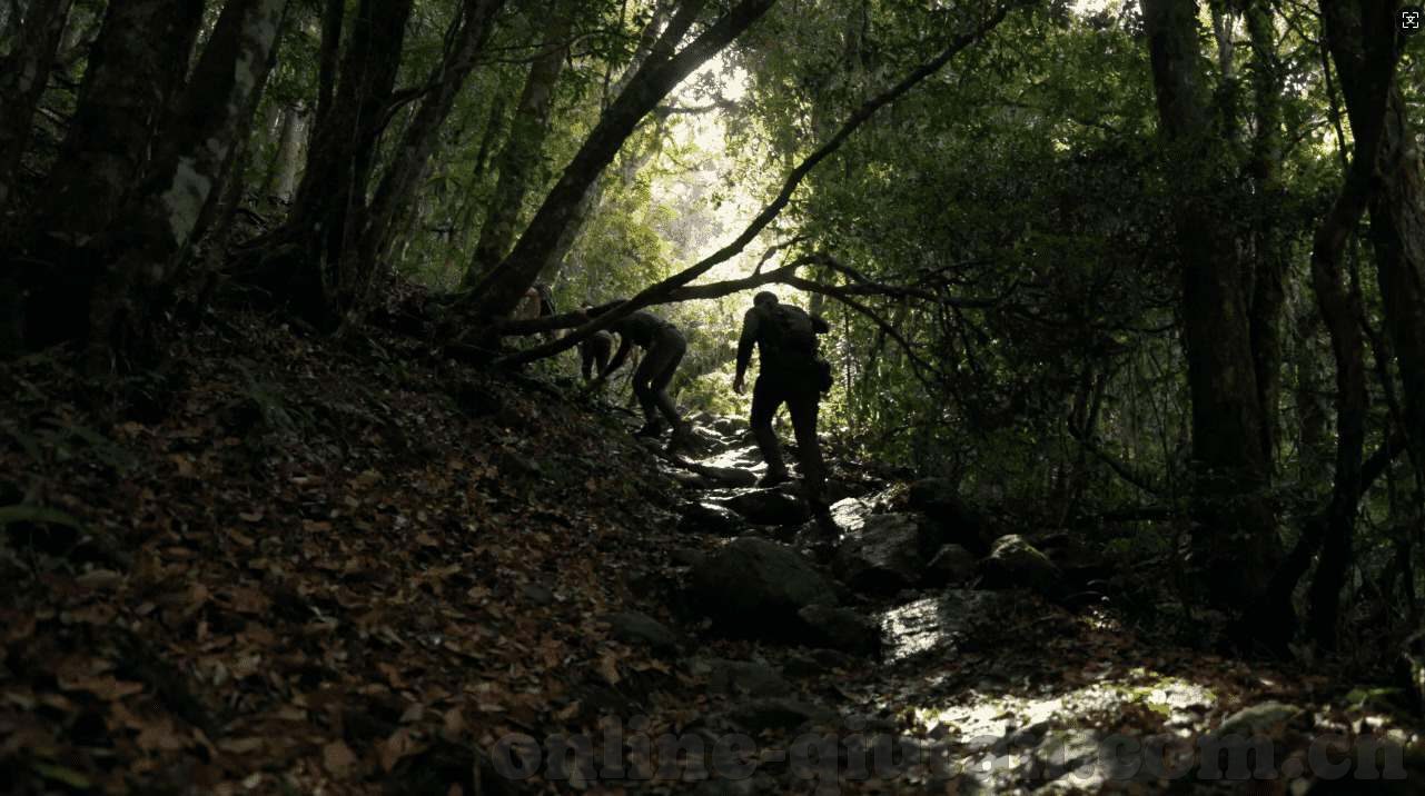08年世界杯德国对韩国-08年世界杯，德国对阵韩国的惊人逆转